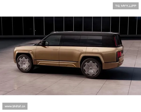全尺寸行政豪华SUV 仰望U8L鼎世版开启预售 全尺寸行政豪华SUV 仰望U8L鼎世版开启预售